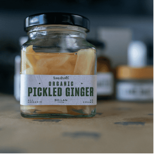 Pickled Ginger