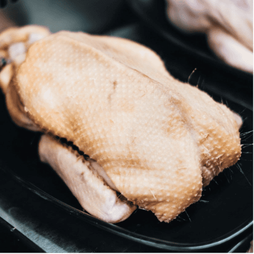 Duck (Whole)